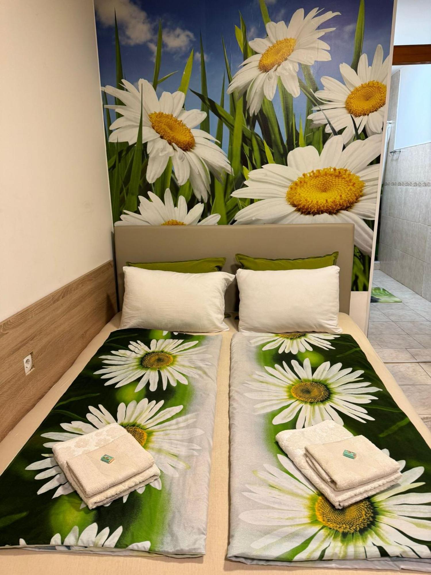 Nela Apartmani Ni Kültér fotó