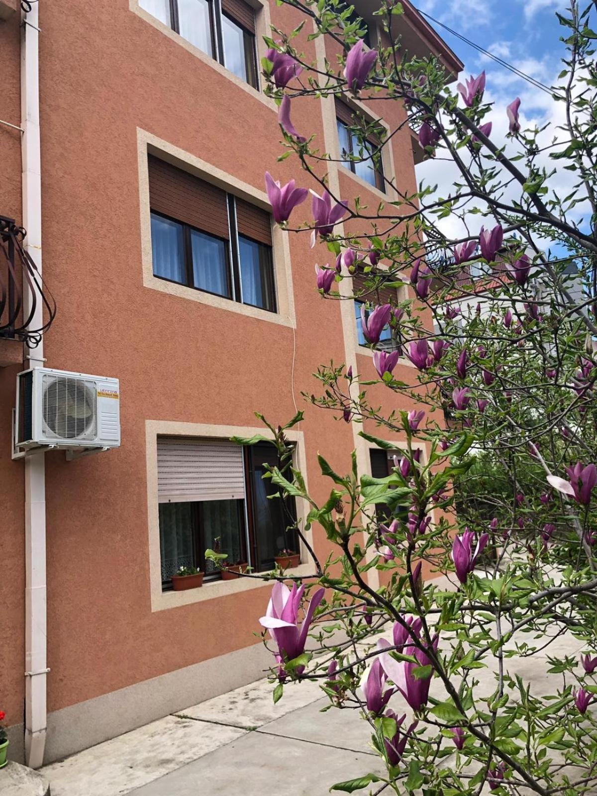 Nela Apartmani Ni Kültér fotó